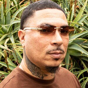 Gold Frame Brown Tint Rimless White Woodgrain Arm Hip Hip Retro Buffs Sunglasses